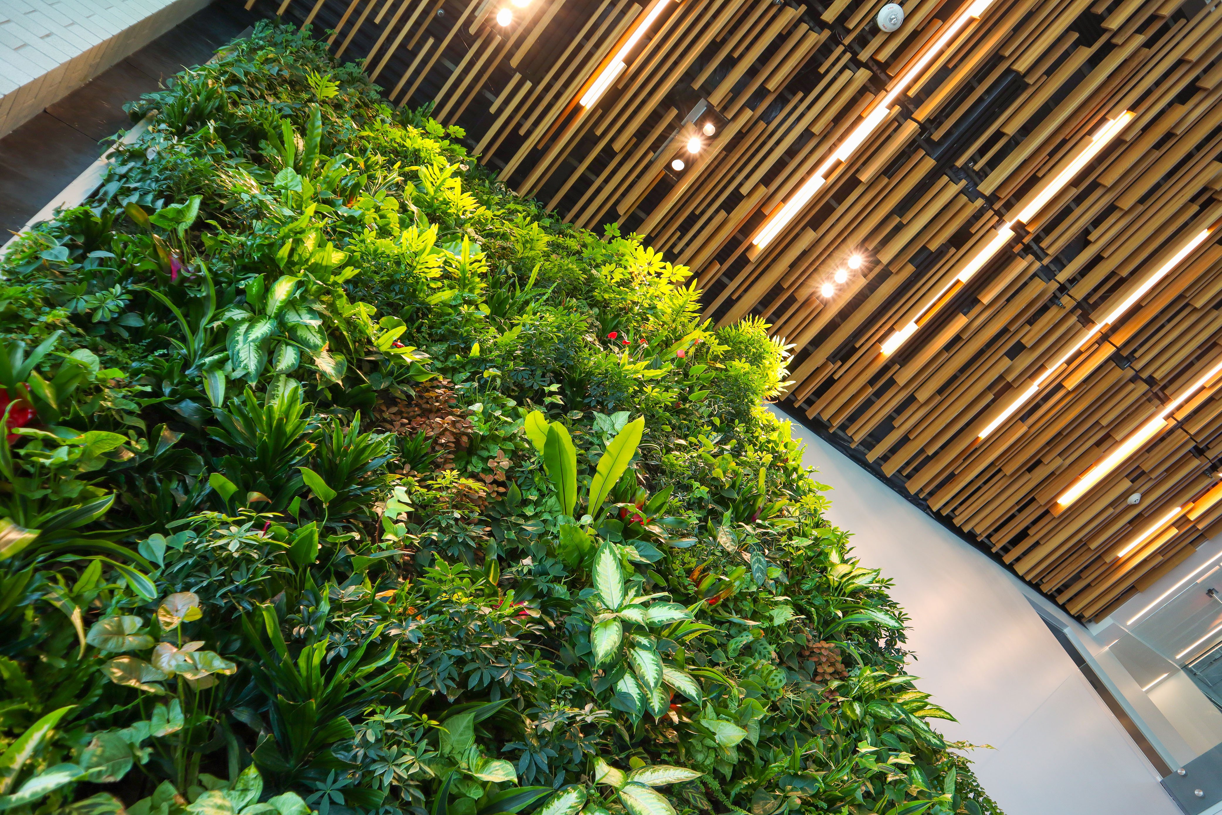 Green wall indoor - Miami Stainless